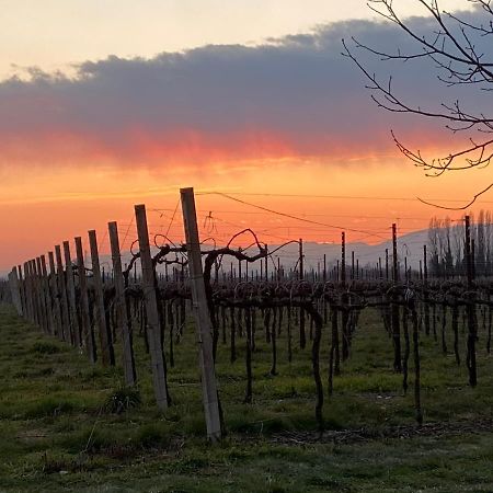 Agriturismo Richeton Gaiarine Экстерьер фото